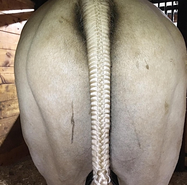 BRAIDING* Tutorials posted on the Facebook page: Katie’s Horse Care Supply (old), and Katie’s Horse Care Supply 2.0 (new). Instagram: Katie’s Horse Care Supply