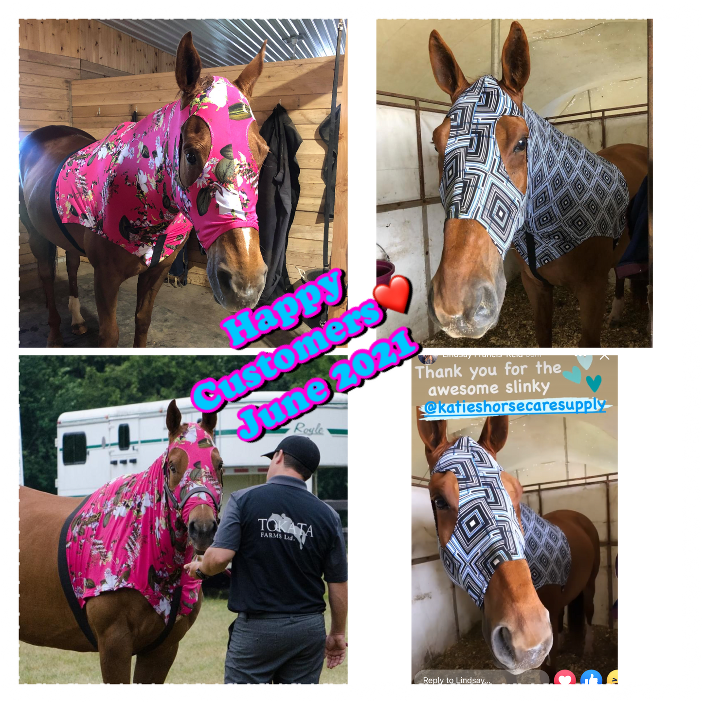 LARGE PONY/SMALL HORSE SLINKY. FREE CHARM